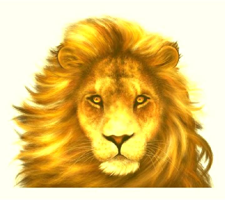 African Simba online slot