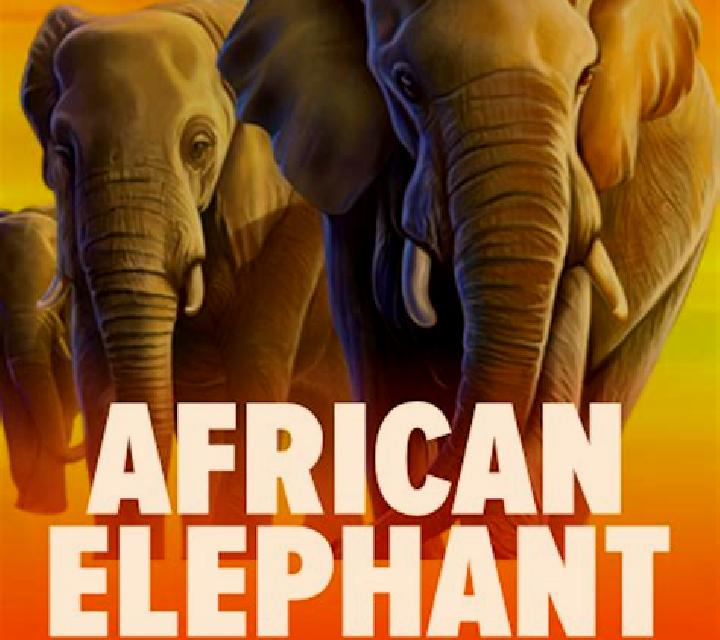 African Sunset 2 online slot
