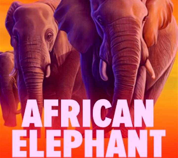 African Sunset 2 slot