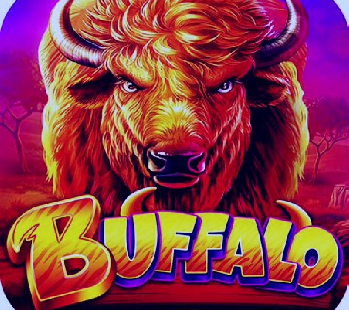 African Wild (Playreels) slot game