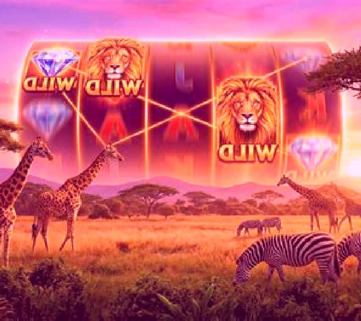 African Wildlife online slot