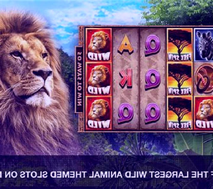 African Wildlife slot machine