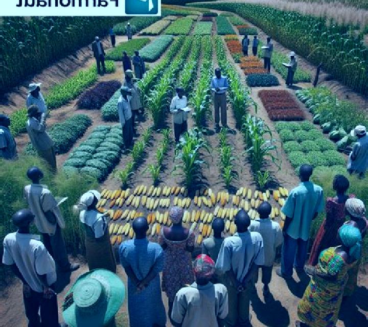 AgroCulture slot