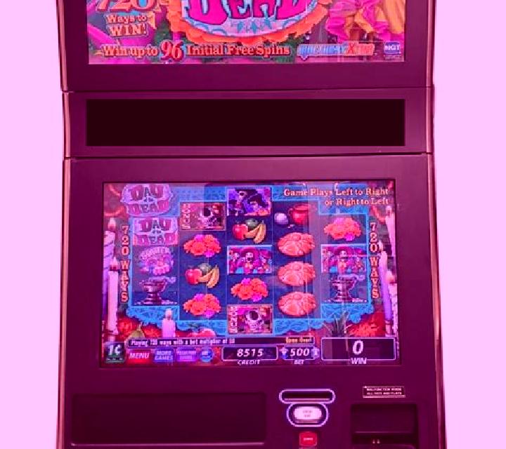 Akiba of the Dead slot machine