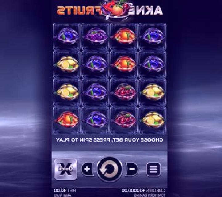 Akne Fruits slot game