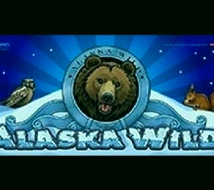 Alaska Wild slot machine