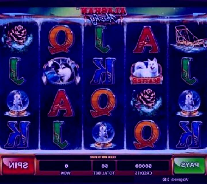Alaskan Husky slot machine