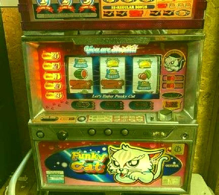 Alley the Cat slot machine