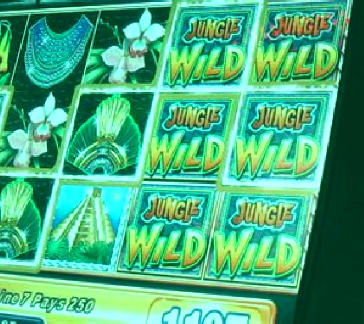 Aloha Wild slot machine