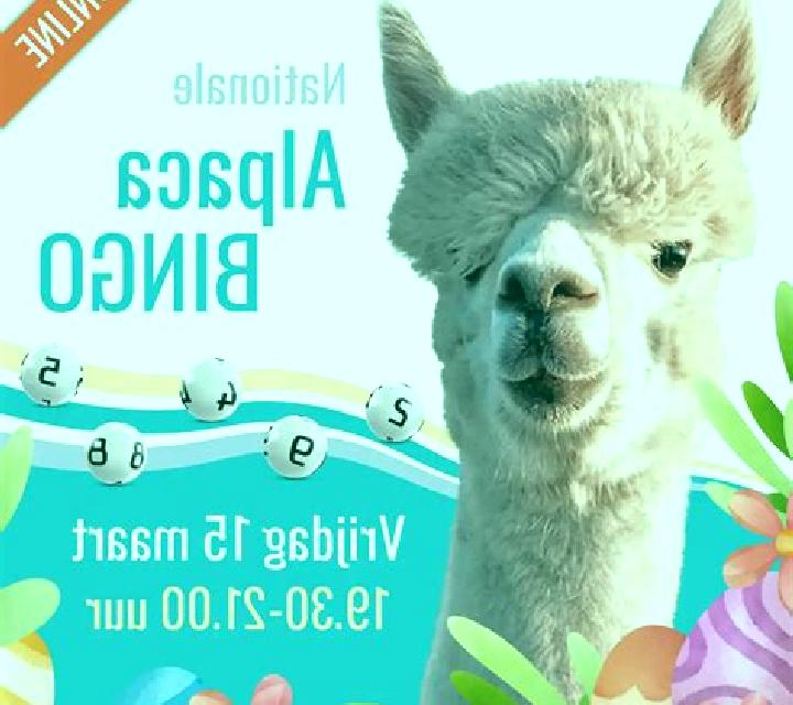 Alpaca Bingo slot game