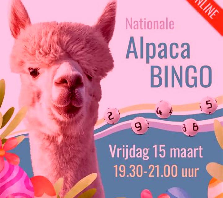 Alpaca Bingo slot
