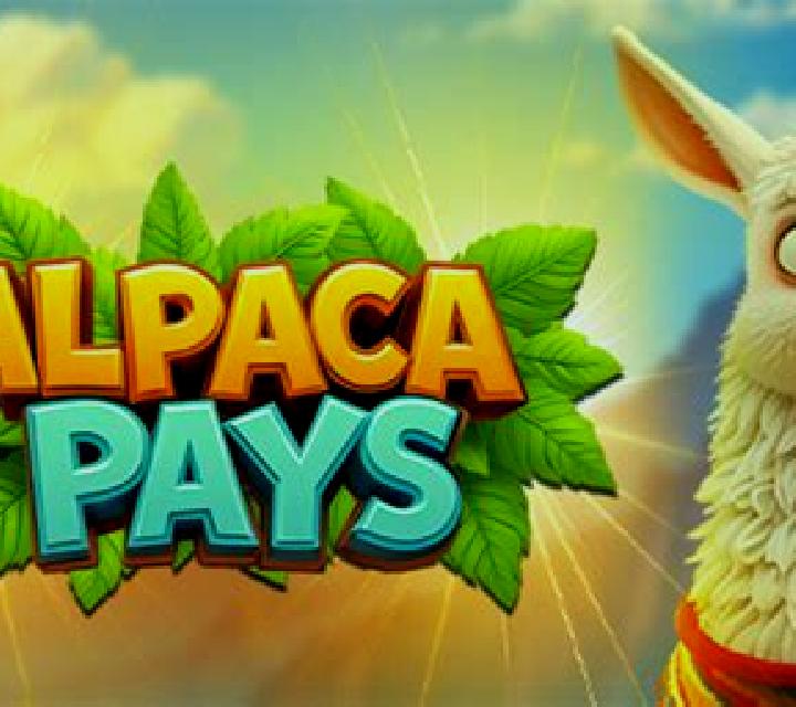 Alpaca Pays slot