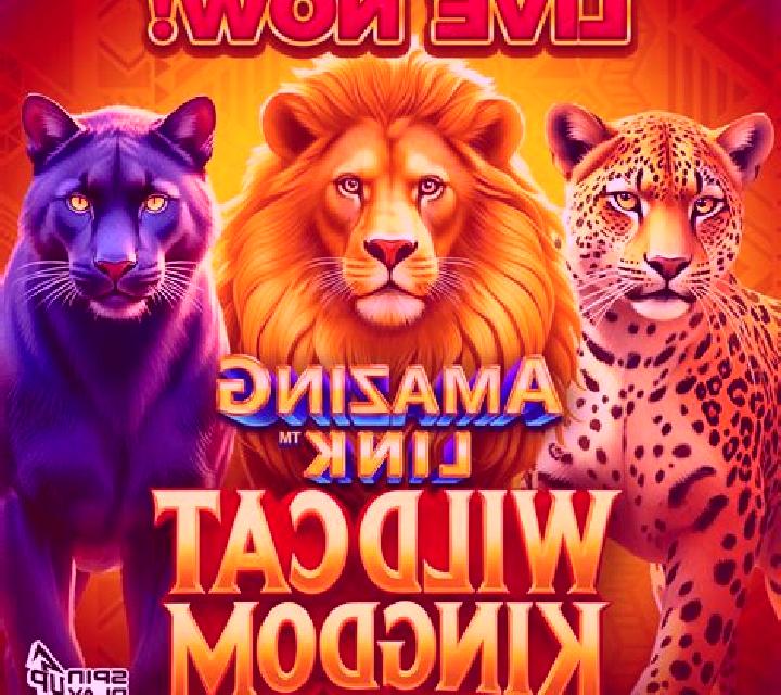 Amazing Link WildCat Kingdom slot game