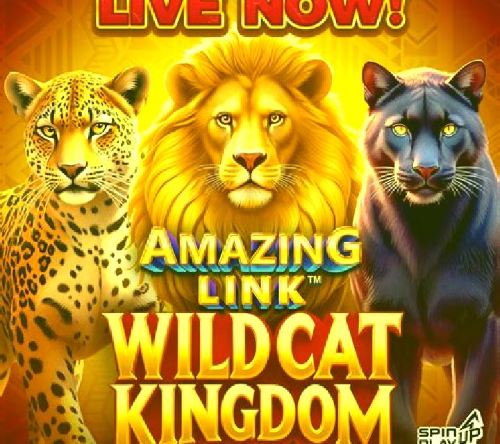 Amazing Link WildCat Kingdom slot machine