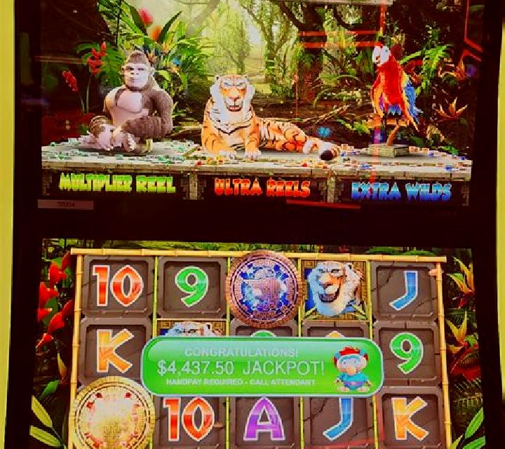 Amazon Adventure slot machine