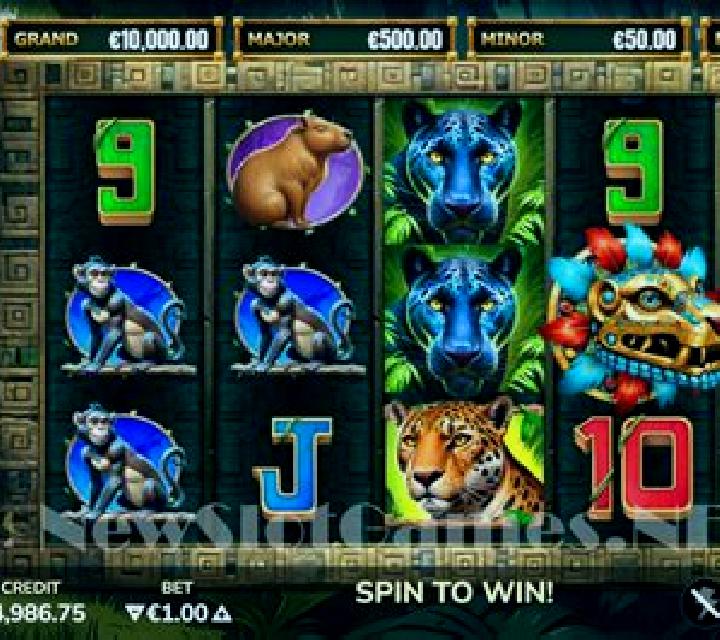Amazon Jewels slot