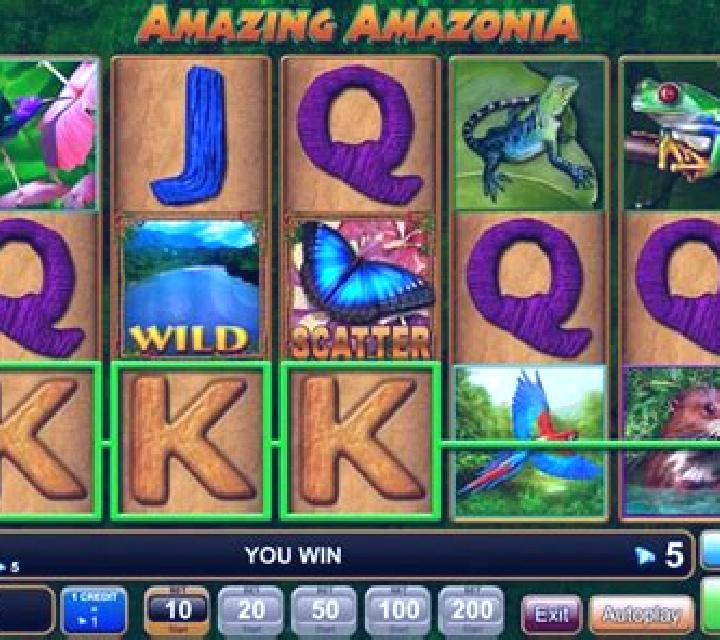 Amazonia Bingo online slot