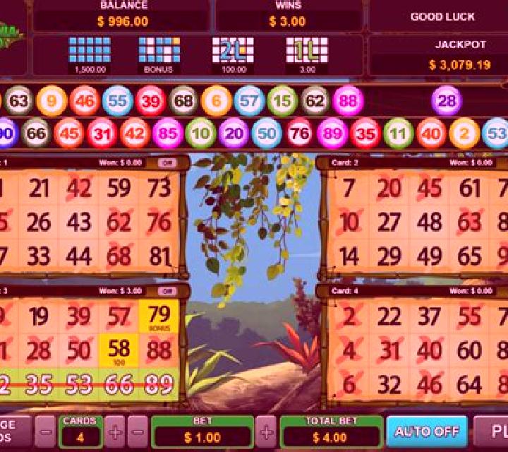 Amazonia Bingo slot