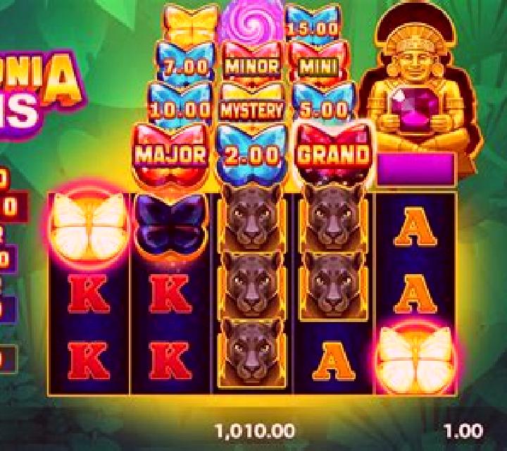 Amazonia Wins slot