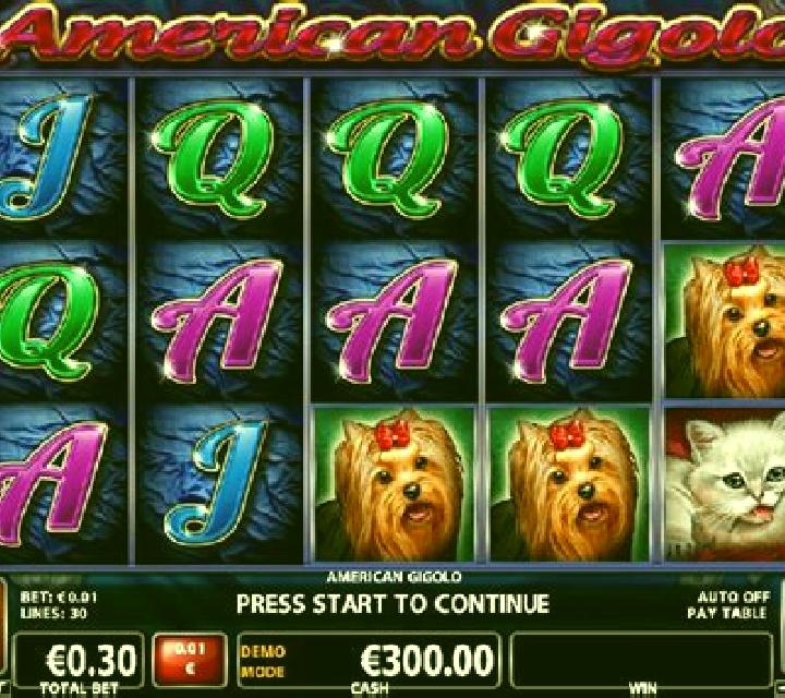 American Gigolo slot machine