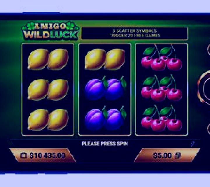 Amigo Fruits 5 slot machine