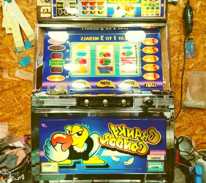 Andean Condor slot machine