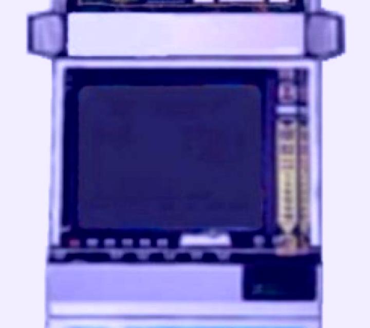 Angry Bear slot machine