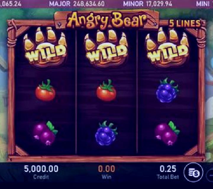 Angry Bear slot