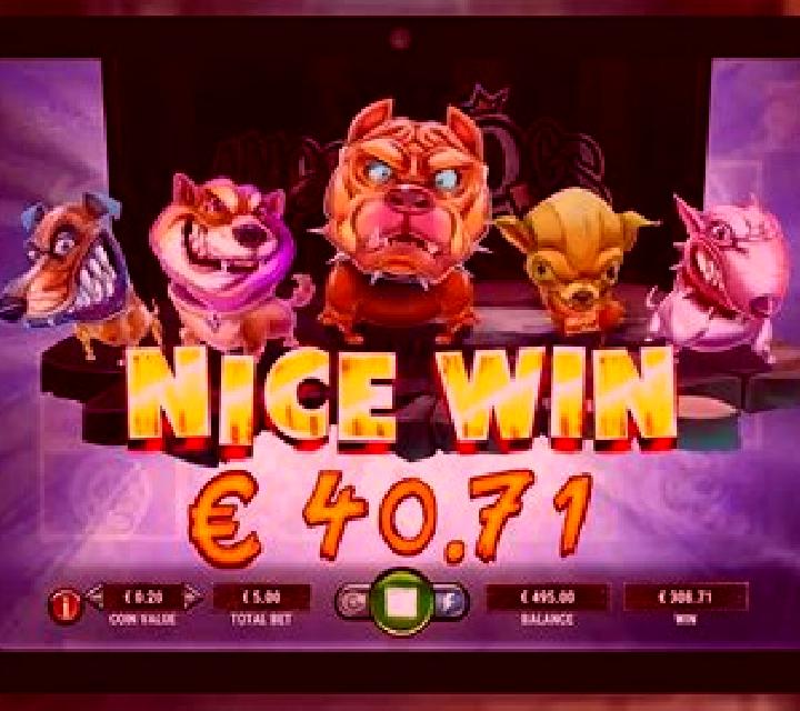Angry Dogs online slot