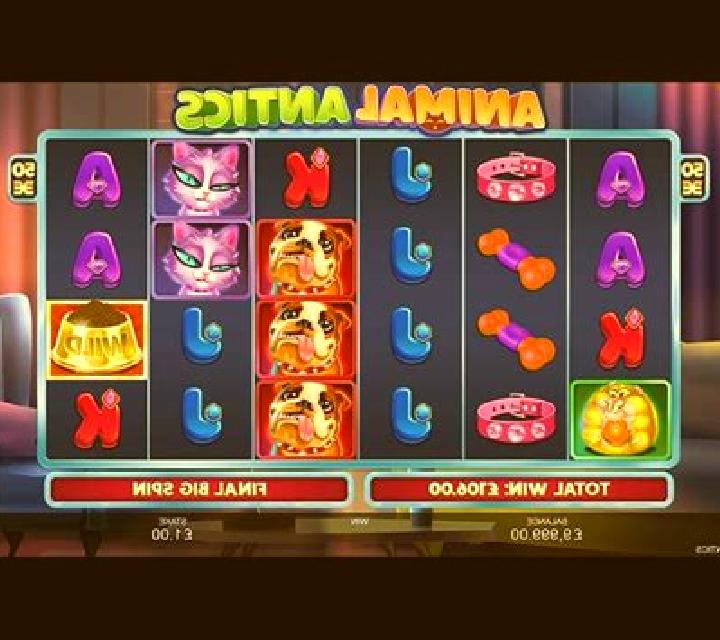 Animal Antics online slot