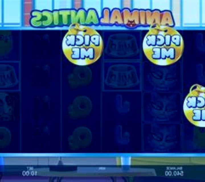 Animal Antics slot game