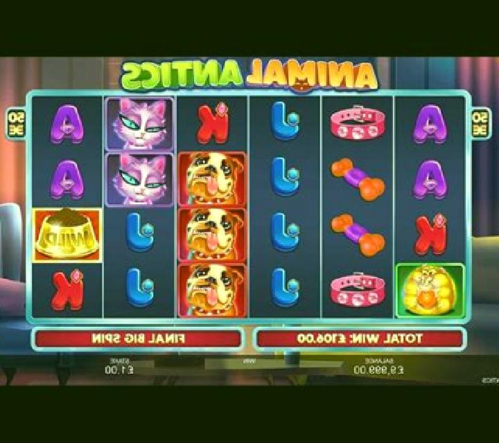 Animal Antics slot machine