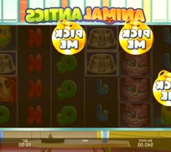 Animal Antics slot