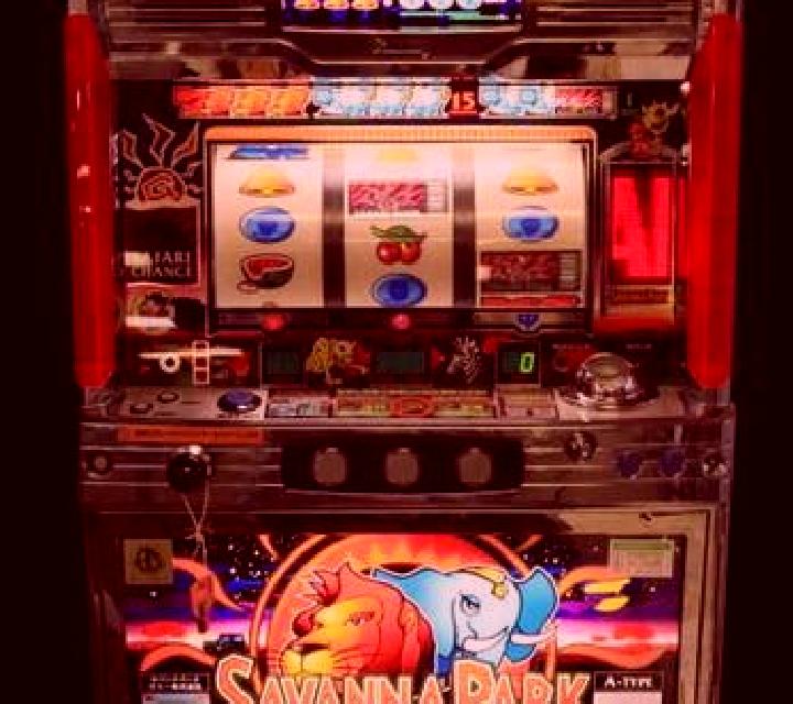 Animal Fun Park slot machine