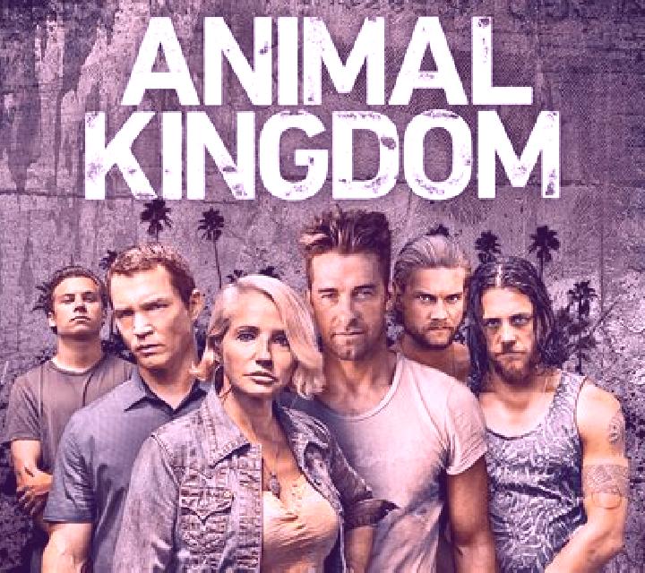 Animal Kingdom online slot