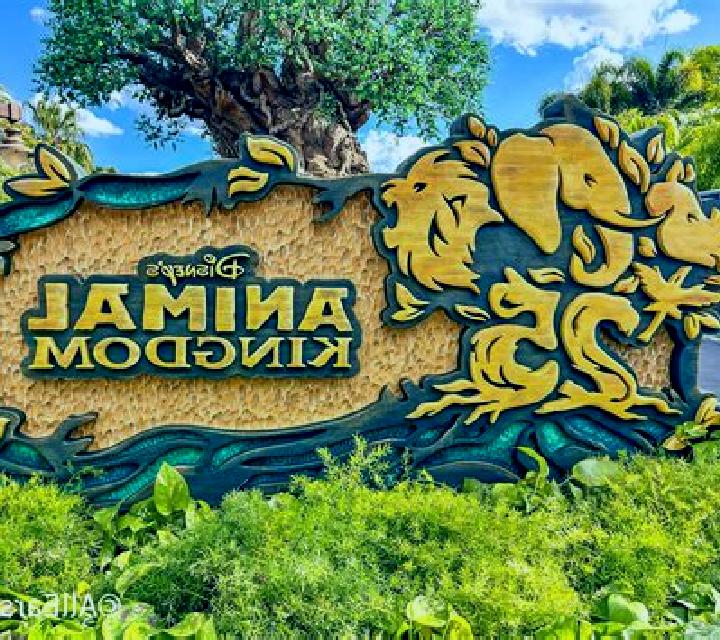 Animal Kingdom slot game