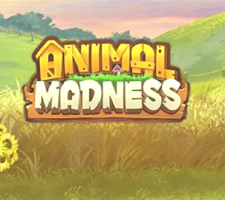 Animal Madness slot game