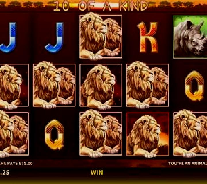 Animals of Africa slot