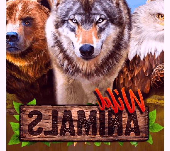 Animals slot game