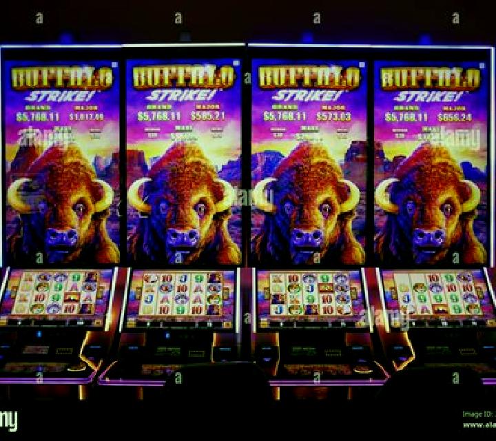 Animals Strike slot machine