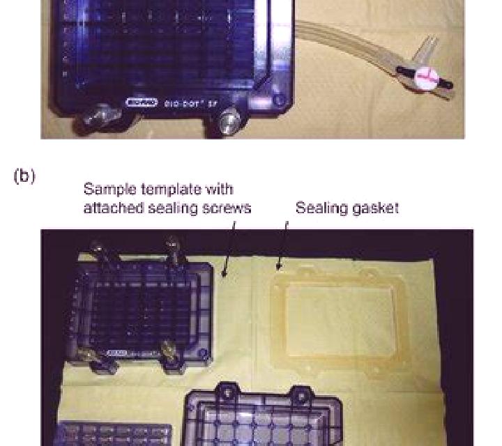 Apparatus slot