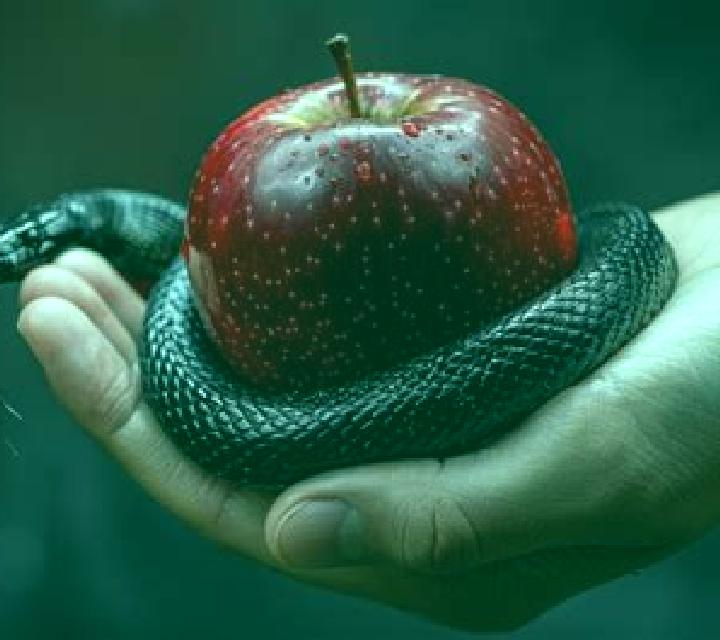 Apple Temptation online slot