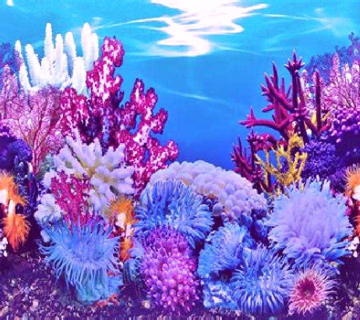 Aquarium HD online slot