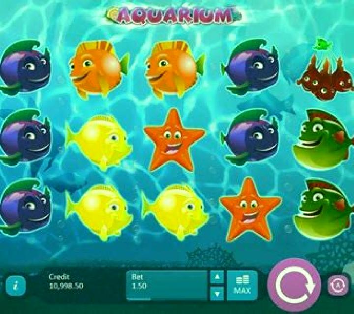 Aquarium slot
