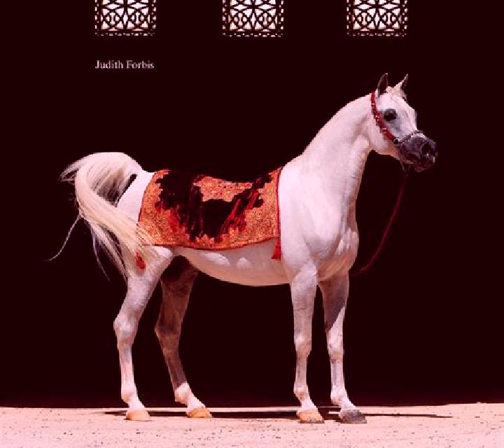 Arabian Legacy slot machine