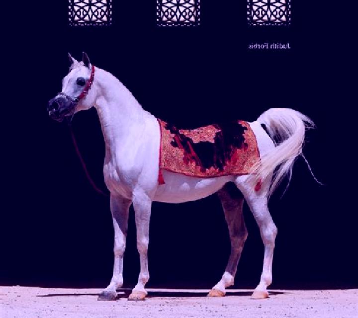 Arabian Legacy slot