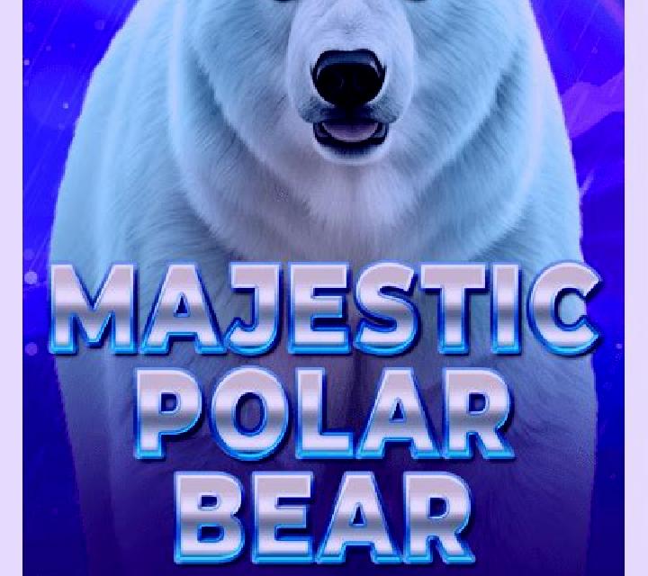 Arctic Bear slot game