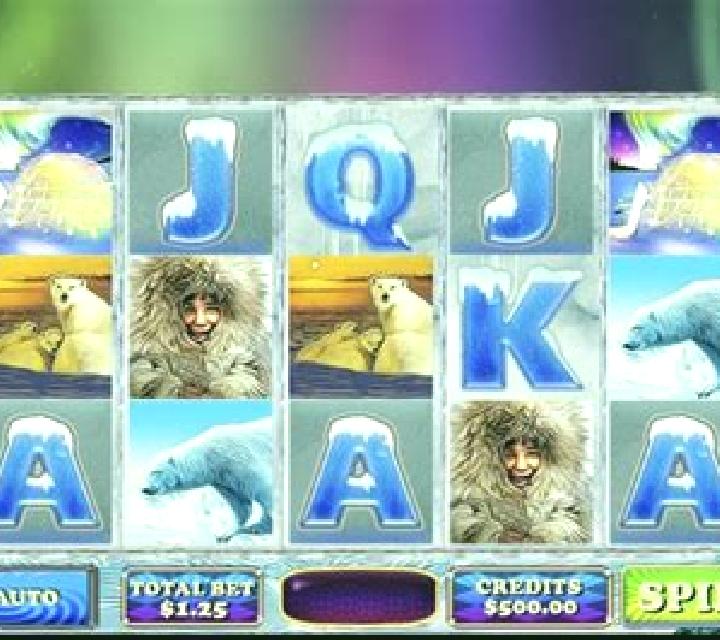 Arctic Bear slot