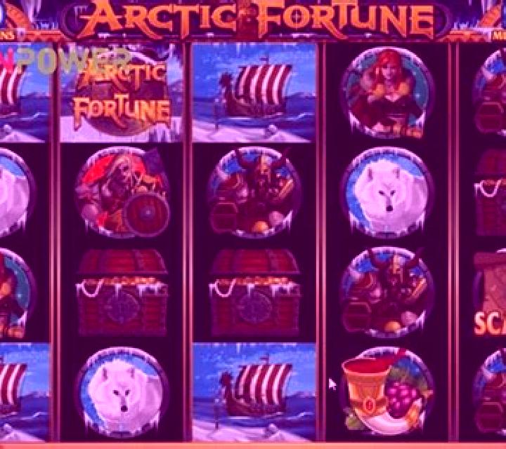 Arctic Fortune slot game
