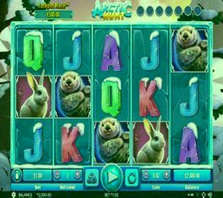 Arctic Hunt slot